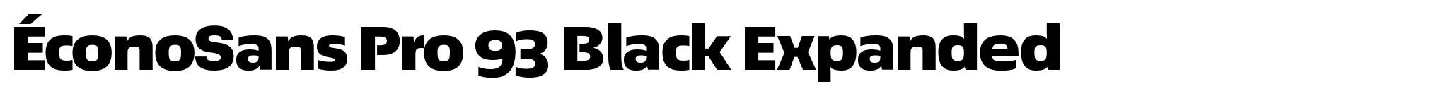 ÉconoSans Pro 93 Black Expanded image